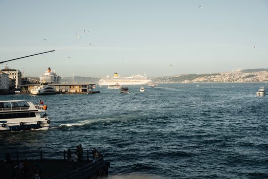 Port & Cruise Transfers